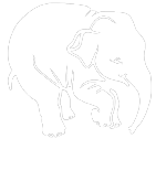 delirium-tremens-logo-3